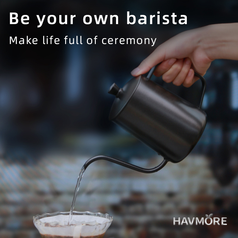 HAVMORE 304 Chaleira de chá de - Tea And Coffee Kettle avaliação e preço